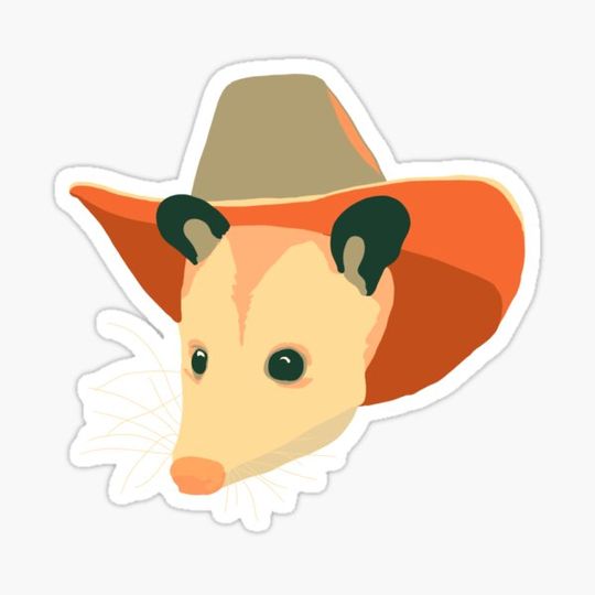 Discover opossum in a cowboy hat