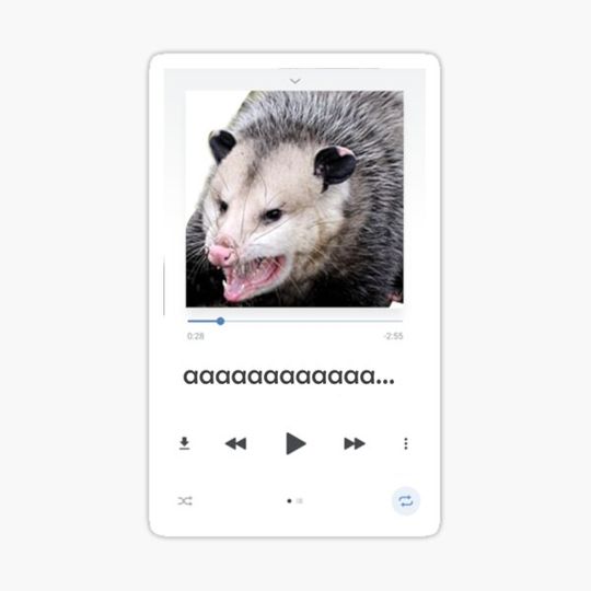 Streaming Screaming Possum