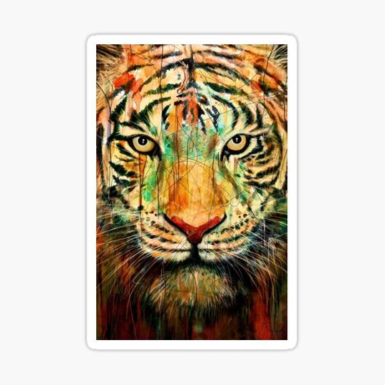 Discover Tiger