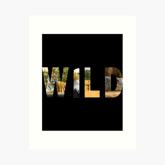 Discover Ferocious Animal