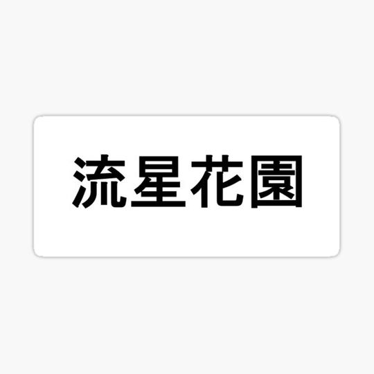 Discover Meteor Garden Chinese Writing