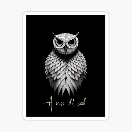Discover A wise old owl
