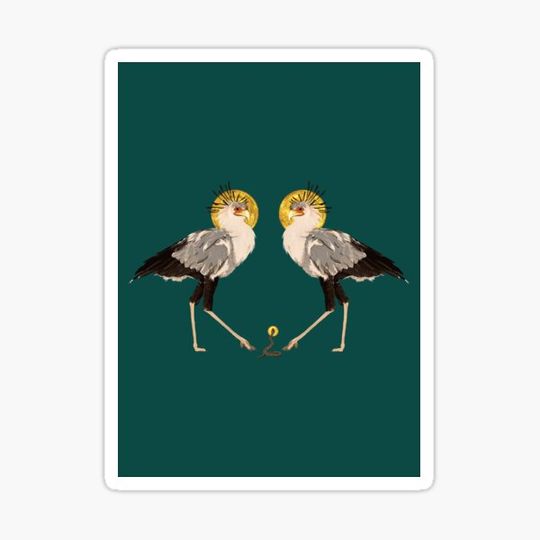 Discover Secretary bird