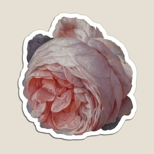 Discover Jan Davidsz. De Heem - Still Life Rose Detail