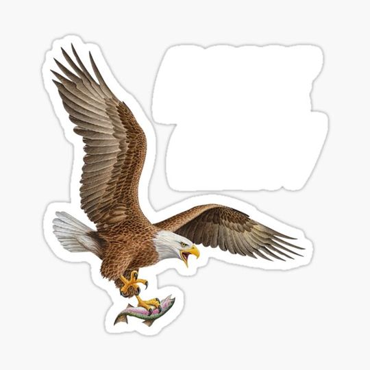 Discover Eagle