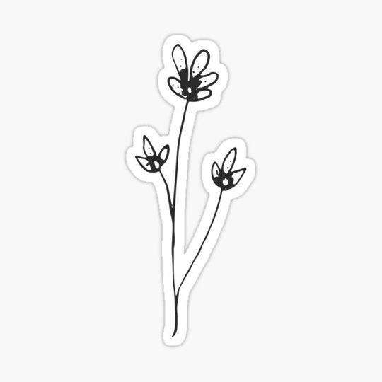 Discover Simple Flower