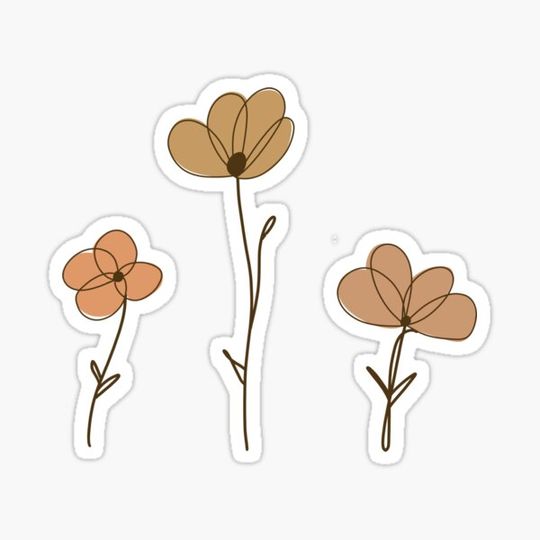 Discover Flower Pack