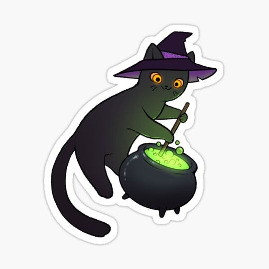 Discover kitten witch