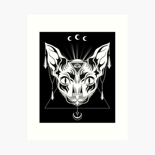 Discover Wicca Witch Occultism Occult Pagan Sphynx Cat