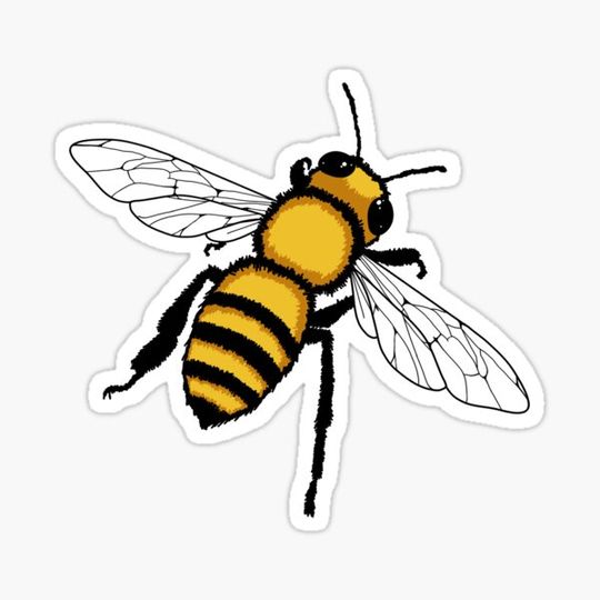 Discover Bee
