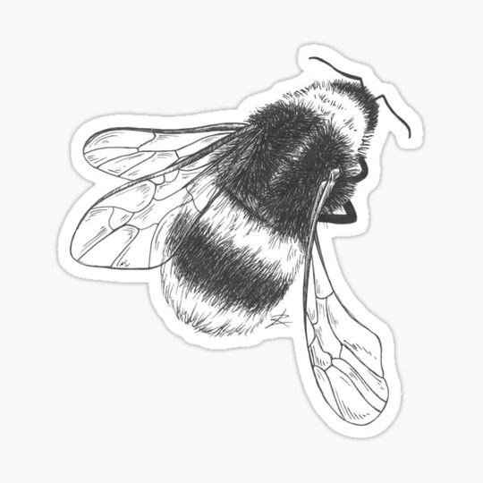 Discover Bumblebee