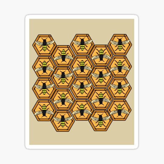 Discover Sweet Honey Bees Beekeeper Beekeeper