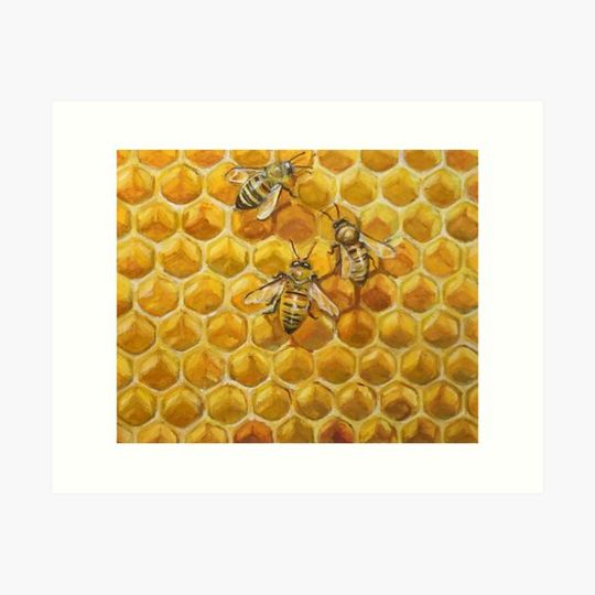 Discover Bees on Honeycomb