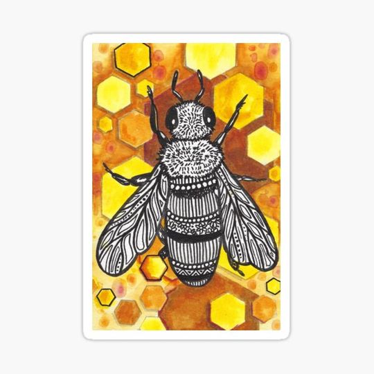 Discover Honey Bee