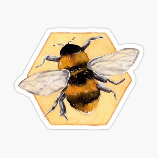 Discover Bumblebee - Watercolour Illustration