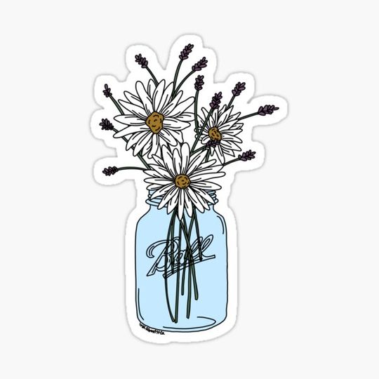 Discover White Daisies