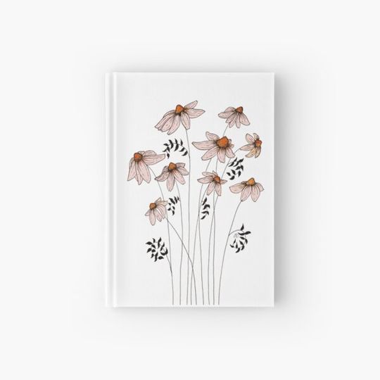Discover Wild Daisies