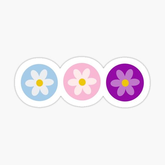Discover Knockemout Series daisies