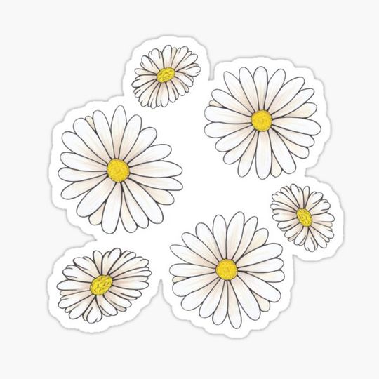Discover Daisy Pattern
