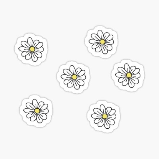 Discover cute daisy pack