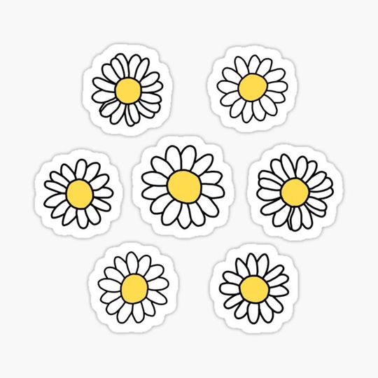 Discover Cute Daisy Flower's Pack