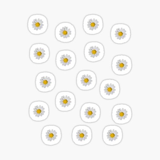 Discover Daisy Pattern Design