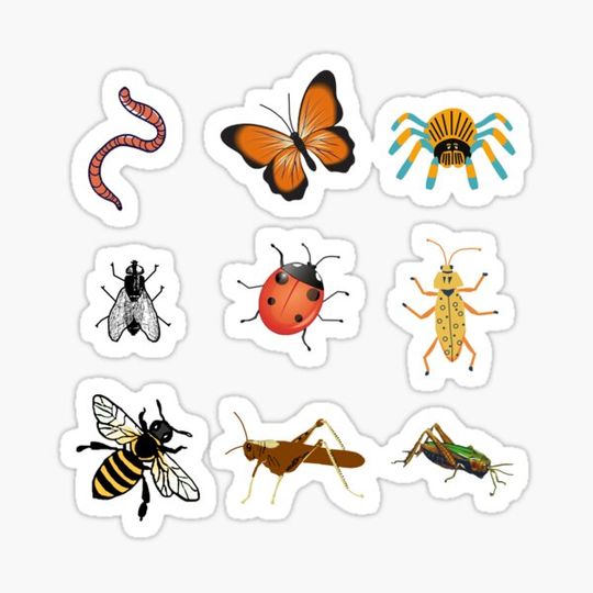 Bug Medley I