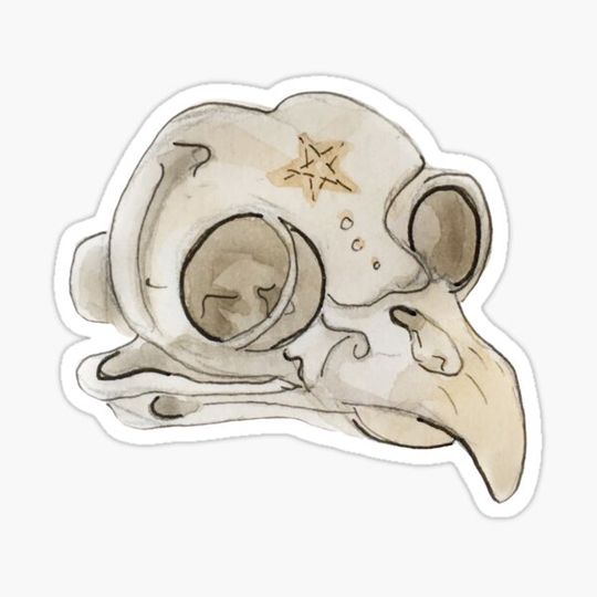 Discover Witchy Owl Skull with Pentagram Engraving Illustration in Watercolor