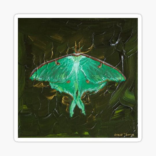 Discover Luna Moth Acrylic Painting