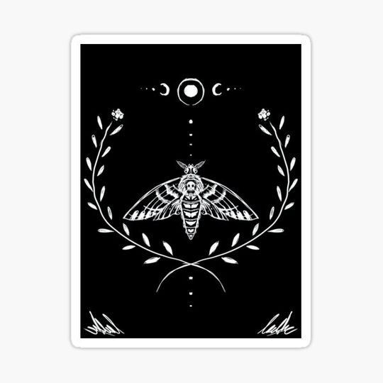 Discover Forrest Moth
