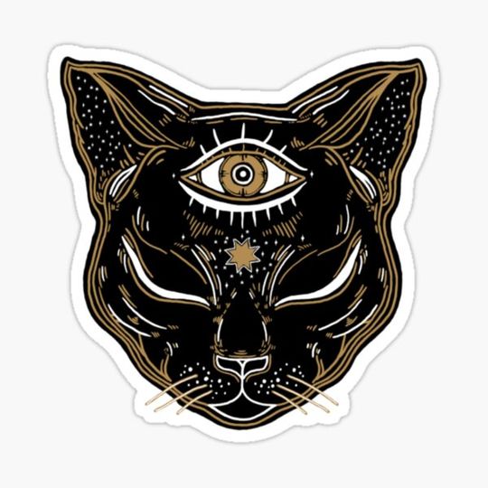 Discover Witchy Cat