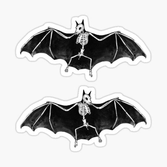 Discover Skeletal Bat