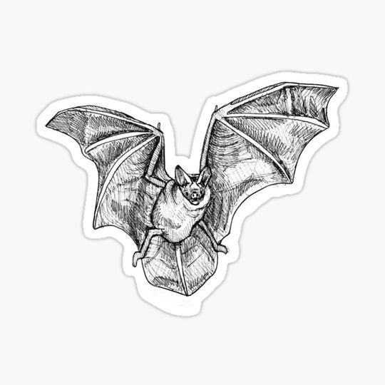 Discover Inktober bat