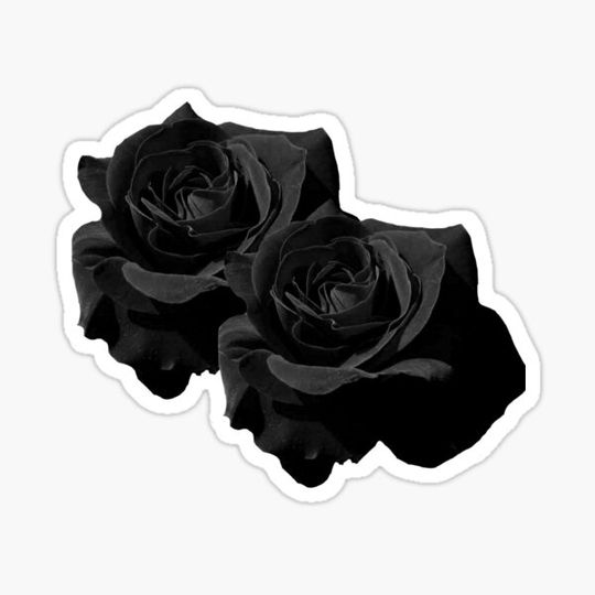 Discover Goth rose