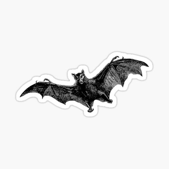 Discover Vintage Halloween Bat