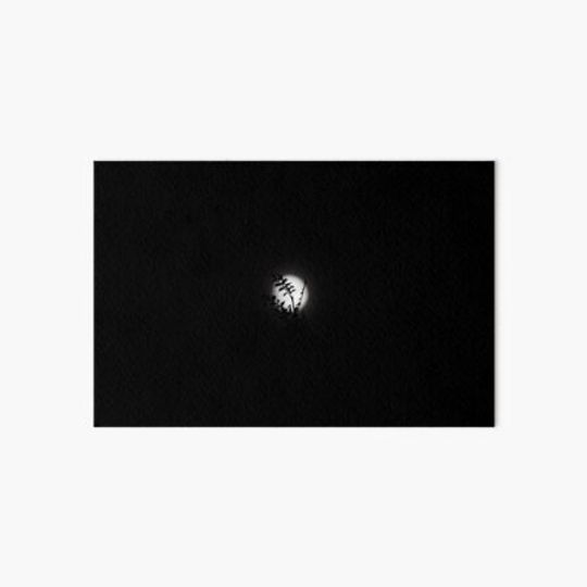 Discover Moonlight