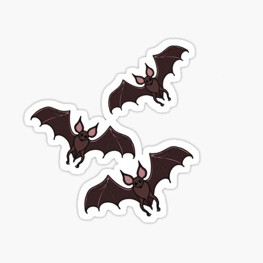 Discover Bats