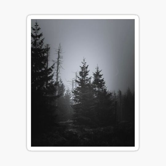 Discover Gothic Woods