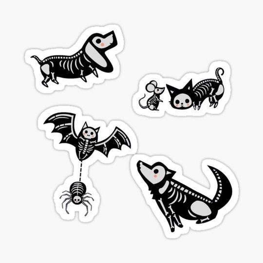 Discover Skeleton animal friends  - cute