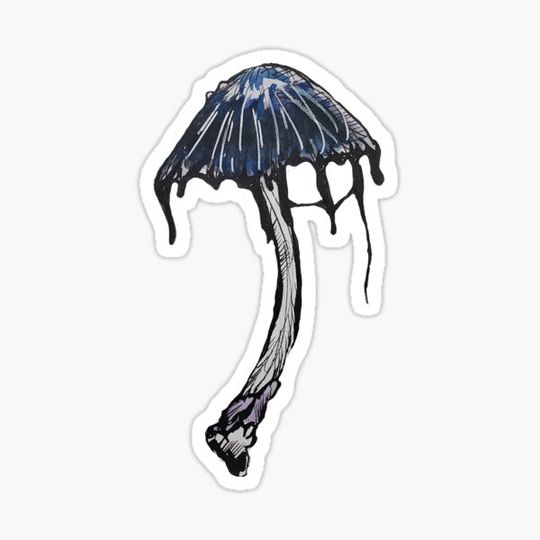 Discover mushroom 8