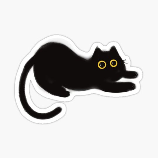 Discover small black kitten