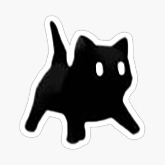 Discover tiny cat