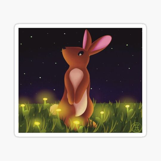 Discover Hare on meadow at night
