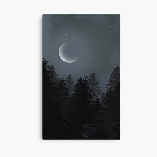 Discover Night Sky With Trees