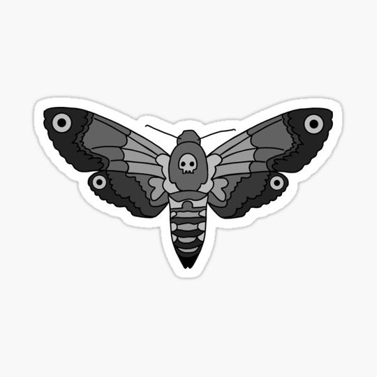 Discover Death’s Head Hawkmoth