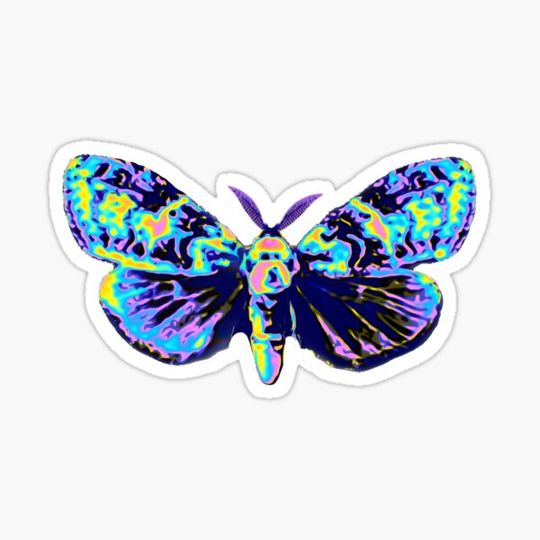 Discover Dark Moth