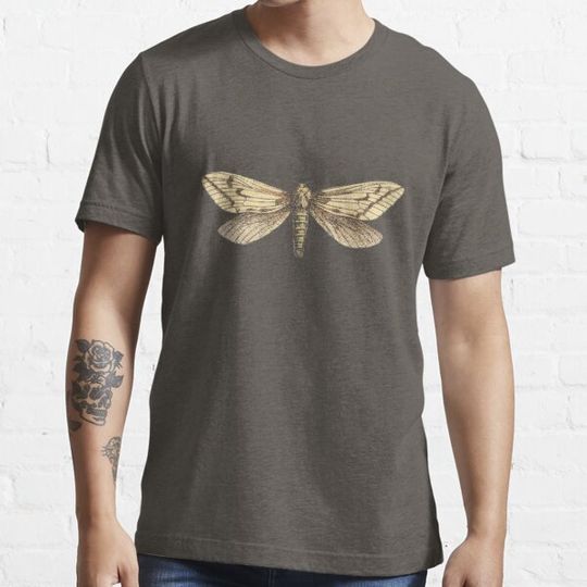 Discover Moth