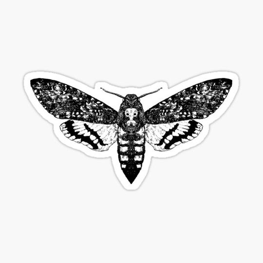 Discover Death`s head hawkmoth
