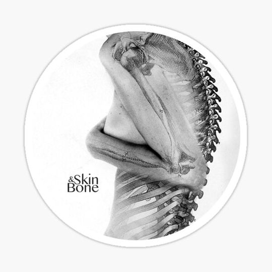Discover Skin & Bone