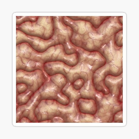 Discover Brains